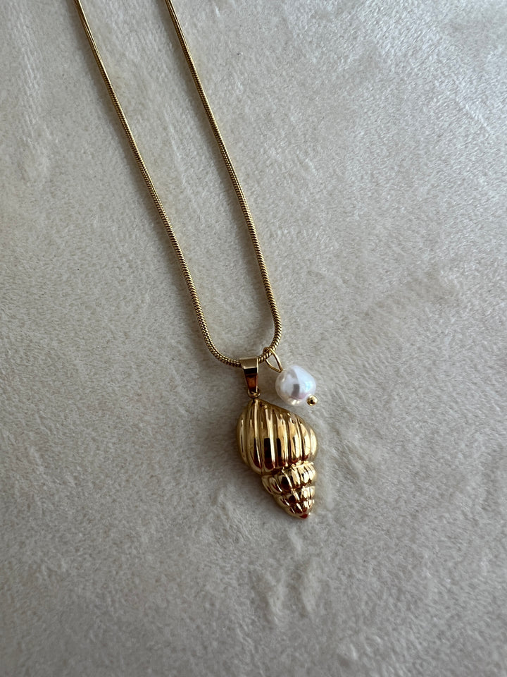 Collar Caracola (acero)