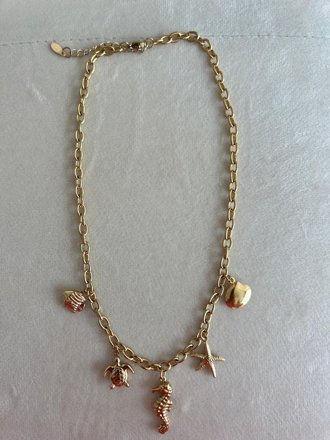 Collar Trópico (acero)