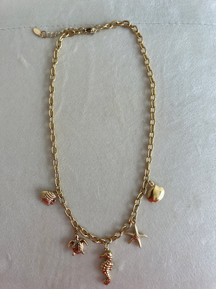 Collar Trópico (acero)