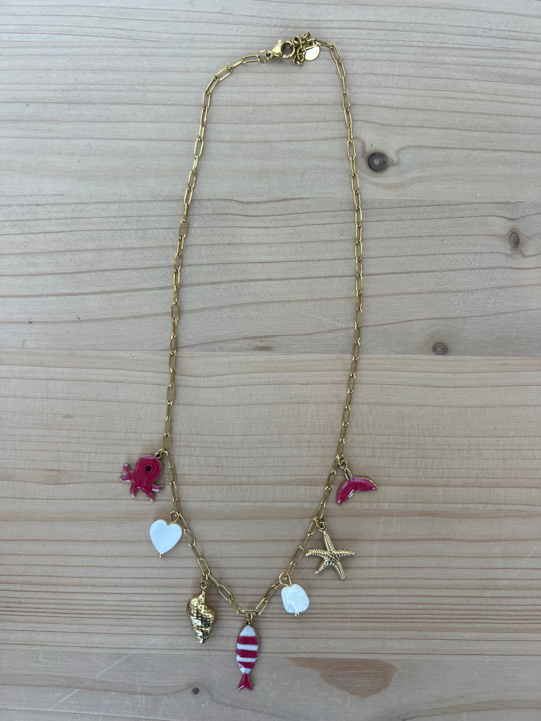 Collar Salitre rojo (acero)