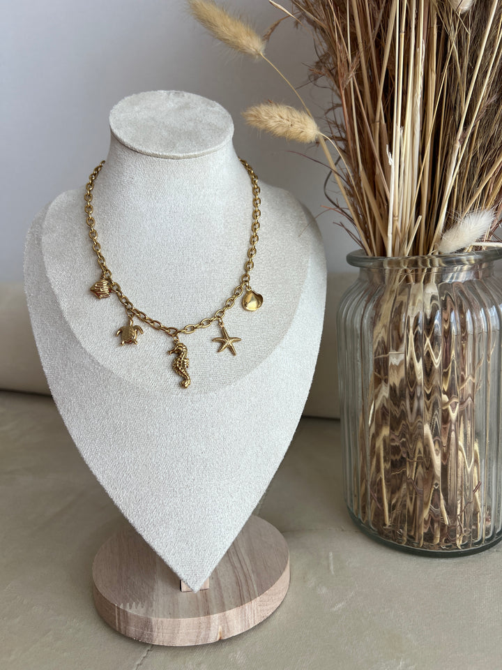 Collar Trópico (acero)