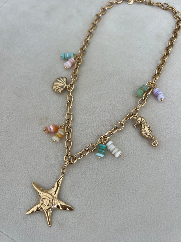 Collar Bora (acero)
