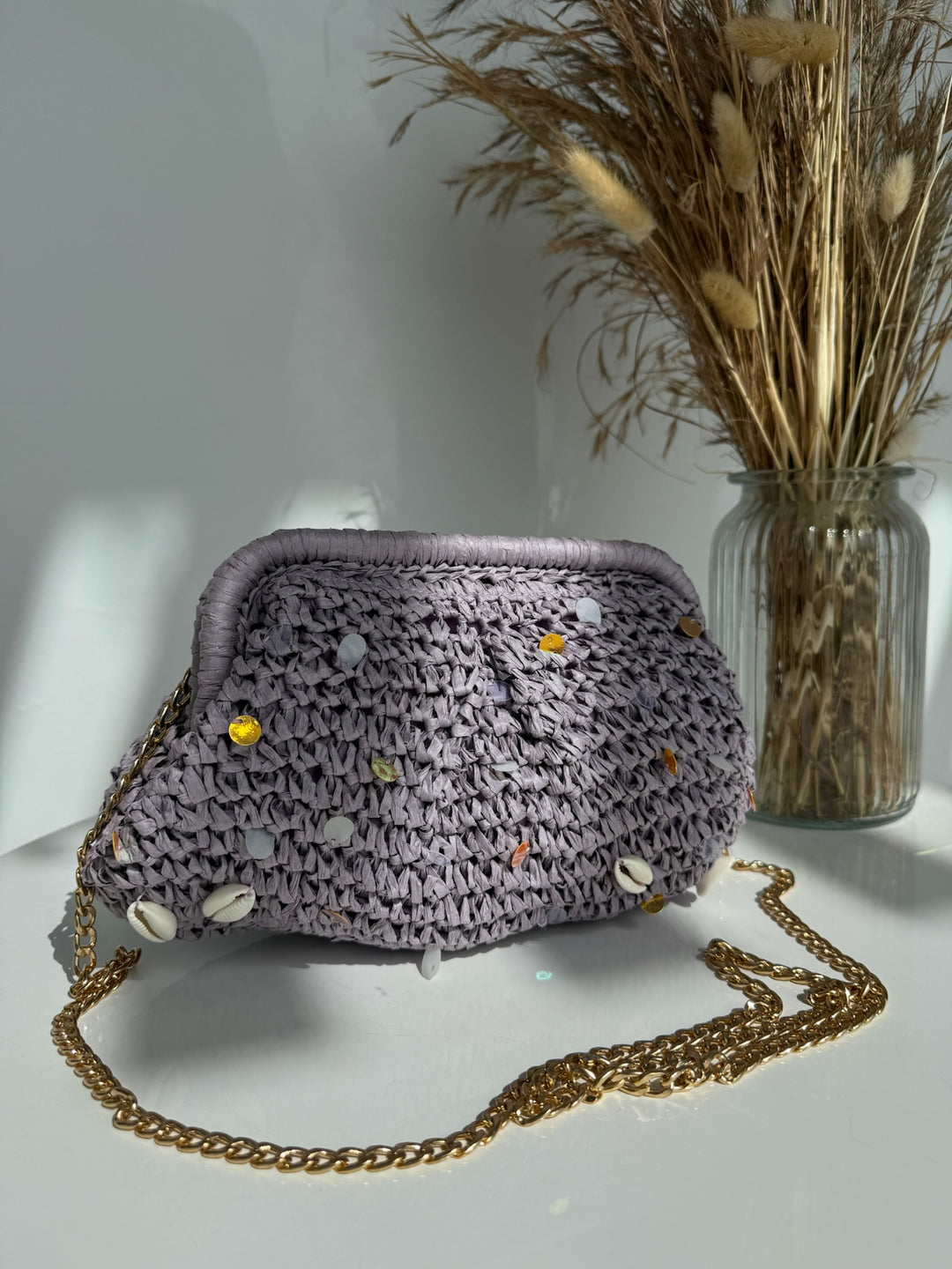 Bolso Salma