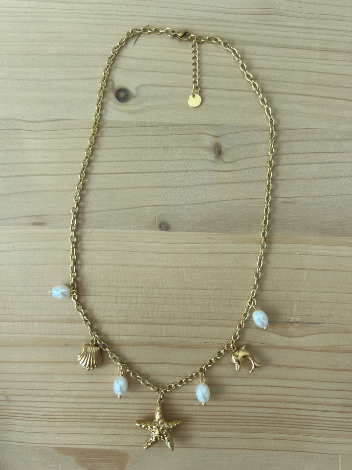 Collar Haití (acero)