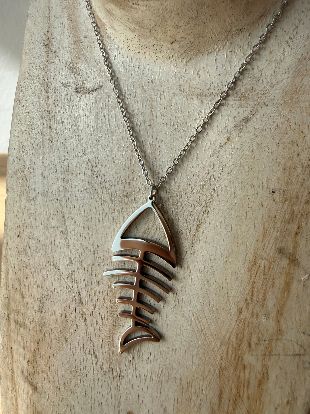 Collar Raspa plata (acero)