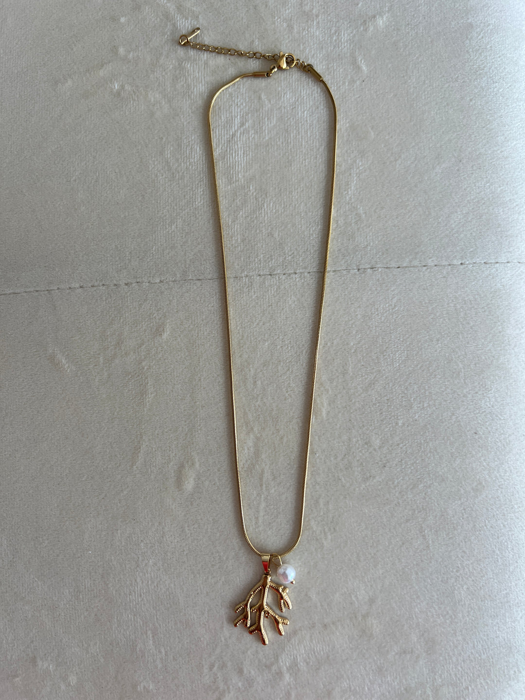 Collar Coral (acero)