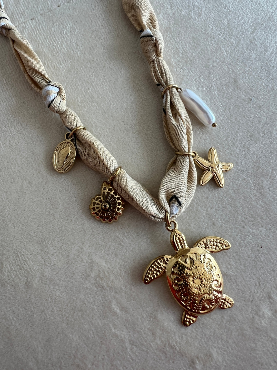Collar Frontera (acero)