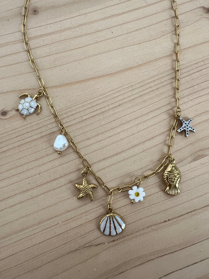 Collar Illetes (acero)