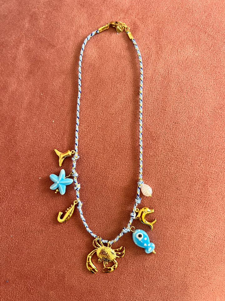 Collar cangrejo azul (acero)