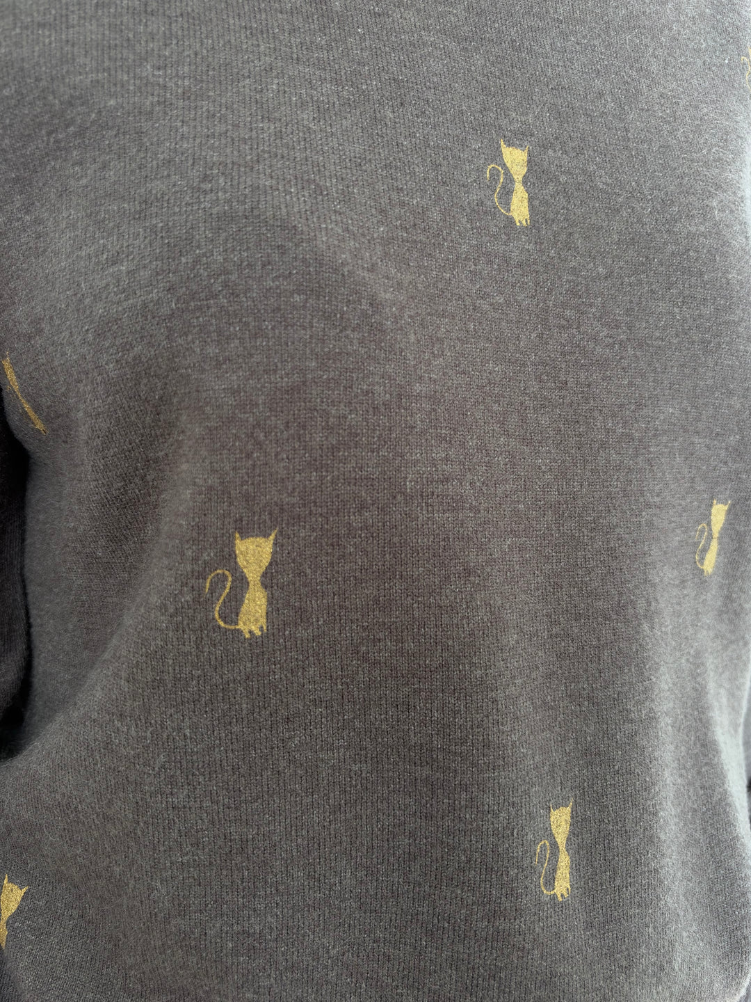 Jersey Gatos marrón