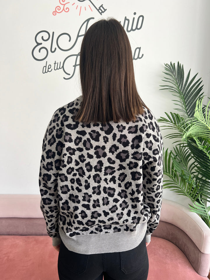 Jersey Álex gris
