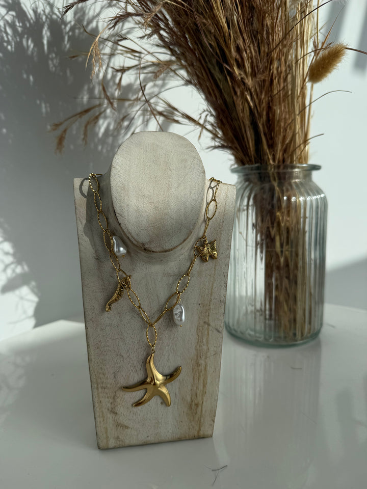 Collar Star (acero)