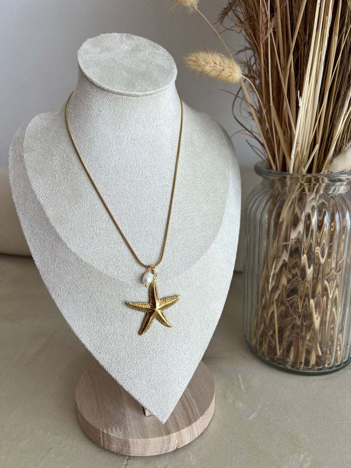 Collar Estrella de mar (acero)