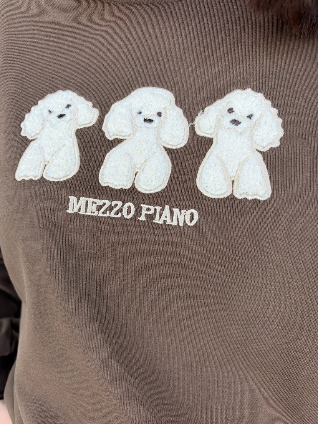 Sudadera Piano marrón