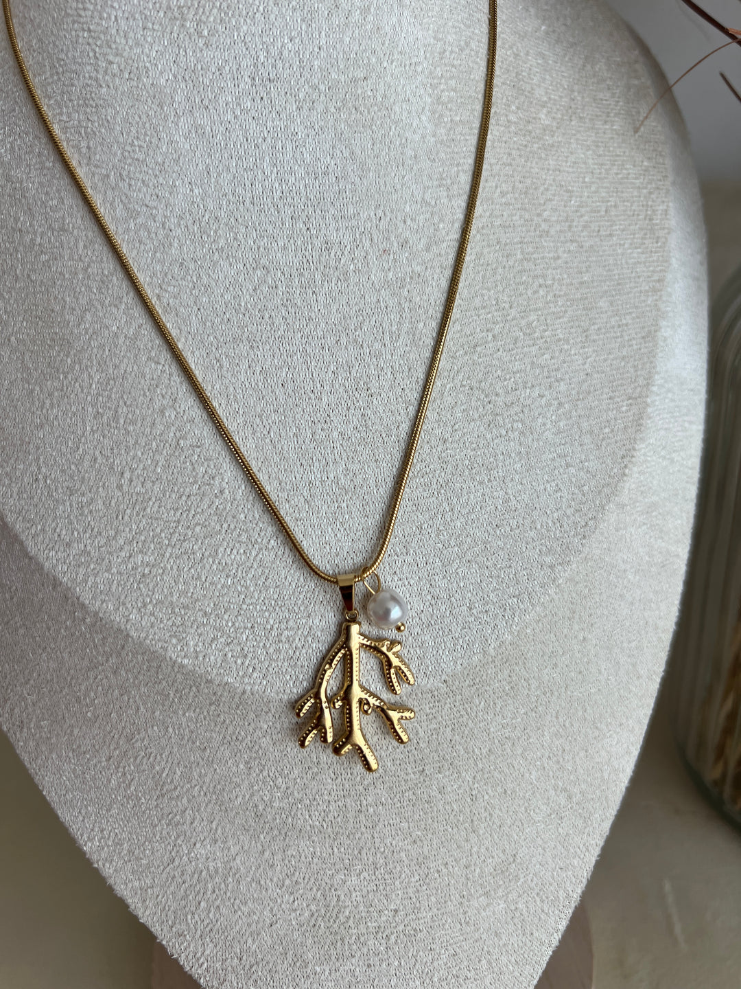 Collar Coral (acero)