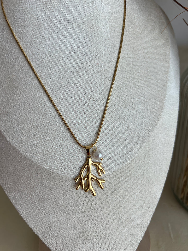 Collar Coral (acero)