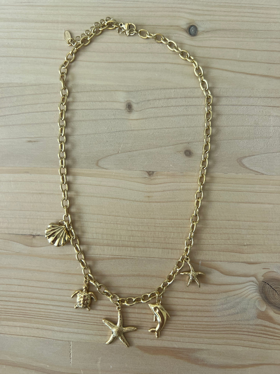 Collar Clio (acero)