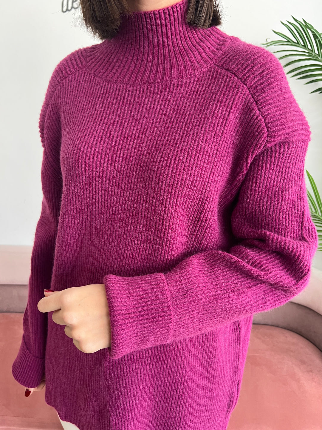 Jersey Palmira buganvilla